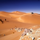 Foto: Dave Price / Flickr, bajo licencia Creativa commons